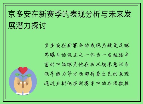 京多安在新赛季的表现分析与未来发展潜力探讨