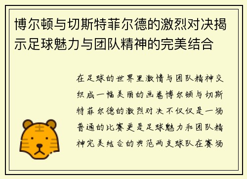 博尔顿与切斯特菲尔德的激烈对决揭示足球魅力与团队精神的完美结合