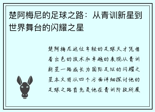 楚阿梅尼的足球之路：从青训新星到世界舞台的闪耀之星