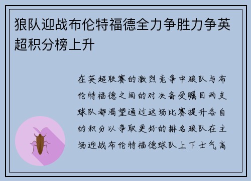 狼队迎战布伦特福德全力争胜力争英超积分榜上升